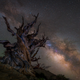 “Guarding the galaxy”